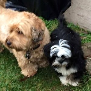 Meet your Posher, Linda